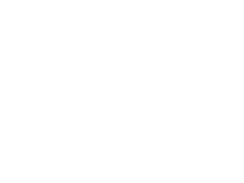 Synaptik Dreams